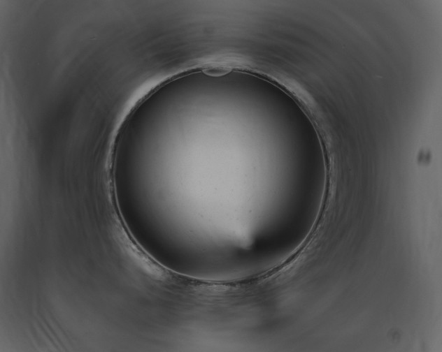 X0000091661248200708231258