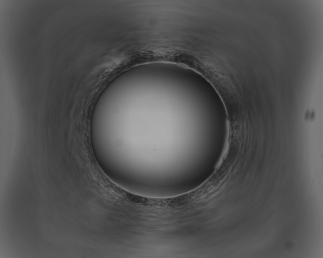 X0000091661249200708231257