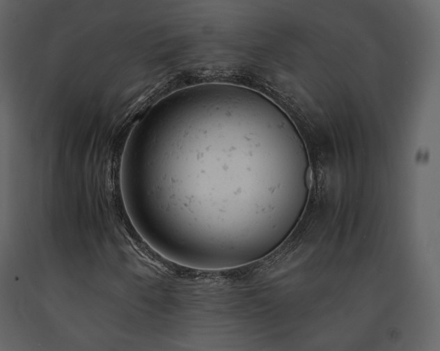 X0000091661250200708231257