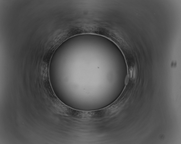 X0000091661251200708231257