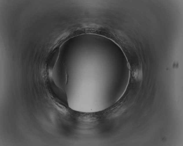 X0000091661252200708231257
