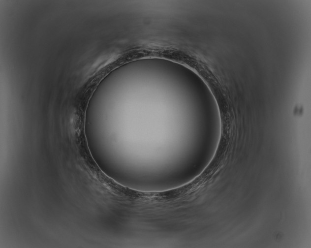 X0000091661253200708231257