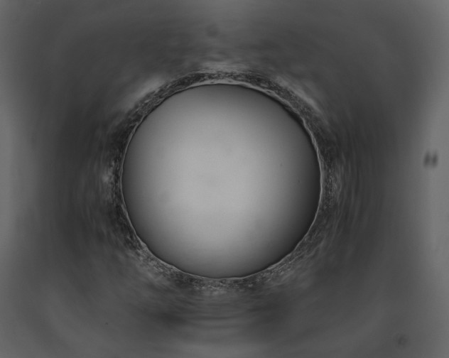 X0000091661254200708231257