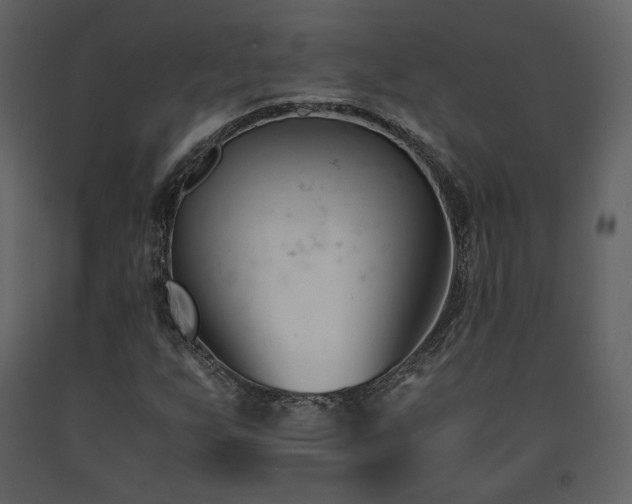 X0000091661255200708231257