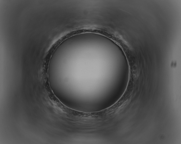 X0000091661256200708231257