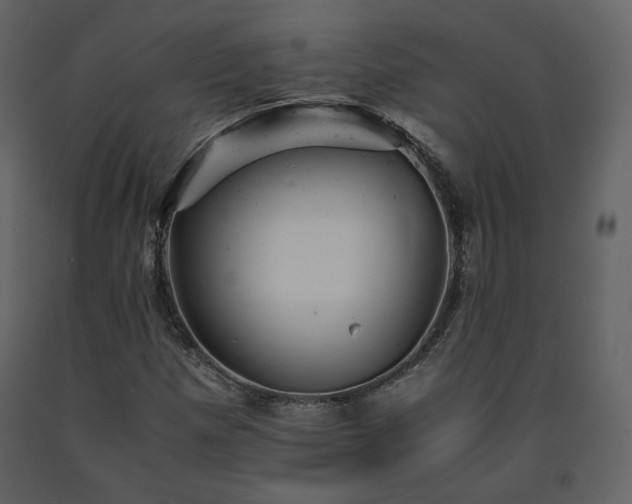 X0000091661257200708231257