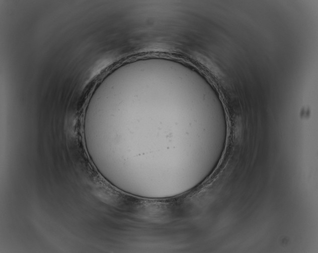 X0000091661258200708231257