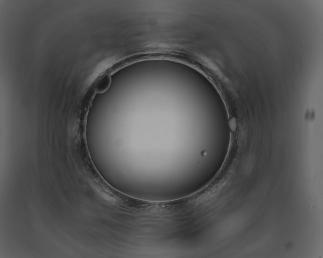 X0000091661259200708231257