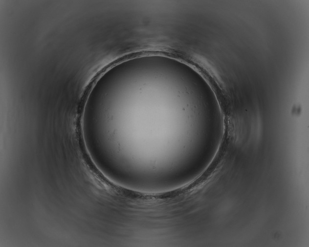 X0000091661260200708231257