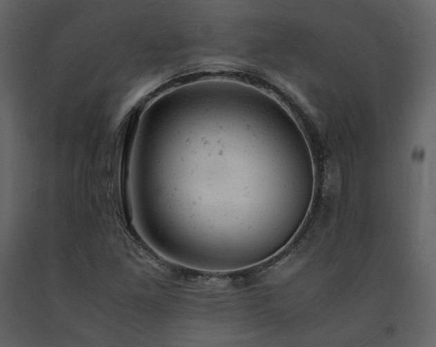 X0000091661261200708231257