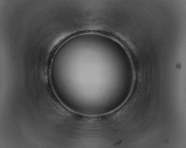 X0000091661262200708231257