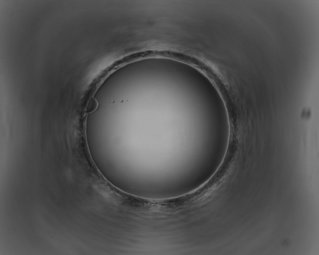 X0000091661263200708231257