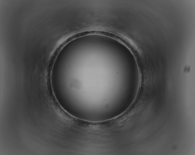 X0000091661264200708231257