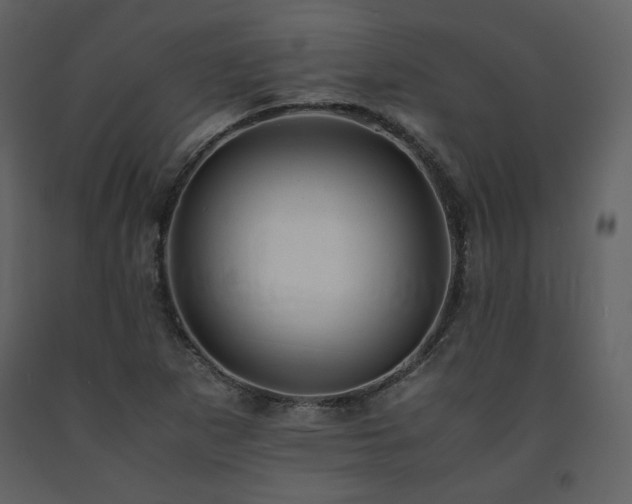 X0000091661265200708231257