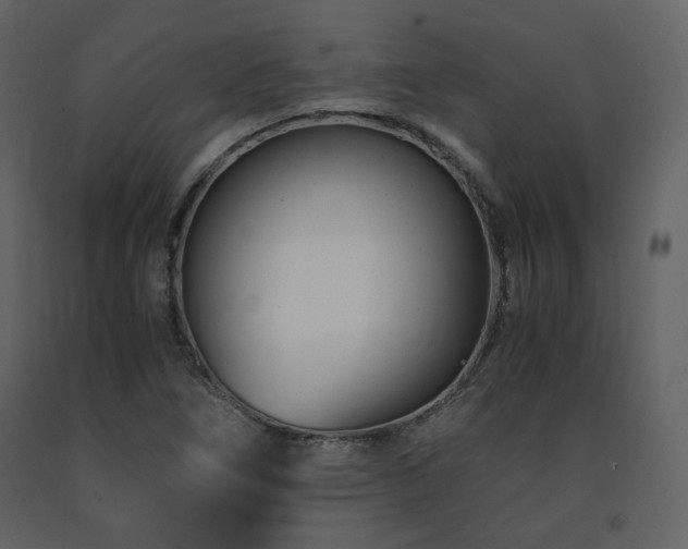 X0000091661266200708231257