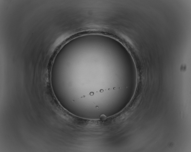 X0000091661267200708231257