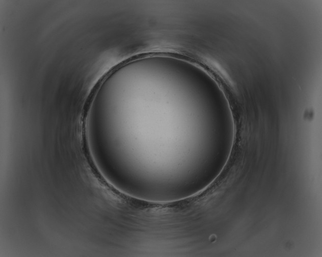 X0000091661268200708231257
