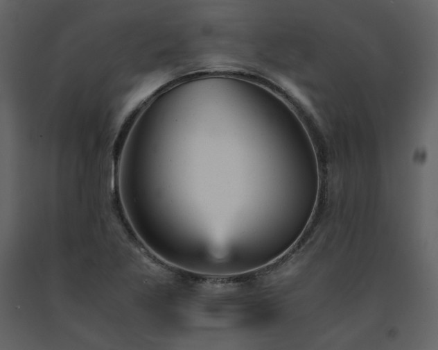 X0000091661269200708231257