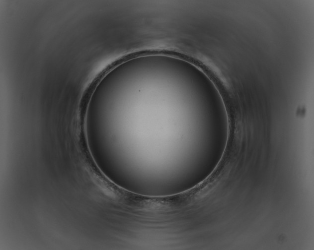 X0000091661270200708231257
