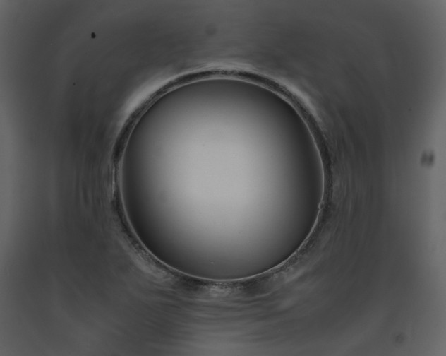 X0000091661271200708231257