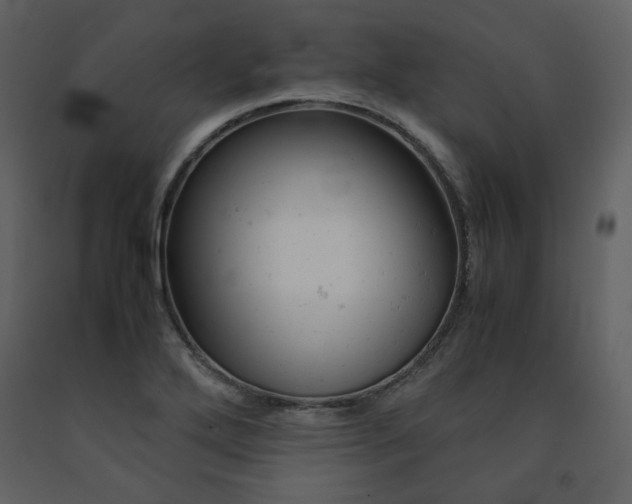 X0000091661272200708231257
