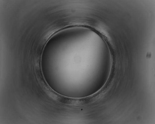 X0000091661273200708231257