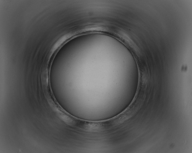 X0000091661274200708231257