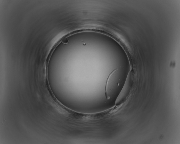 X0000091661275200708231257