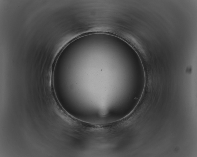 X0000091661276200708231257