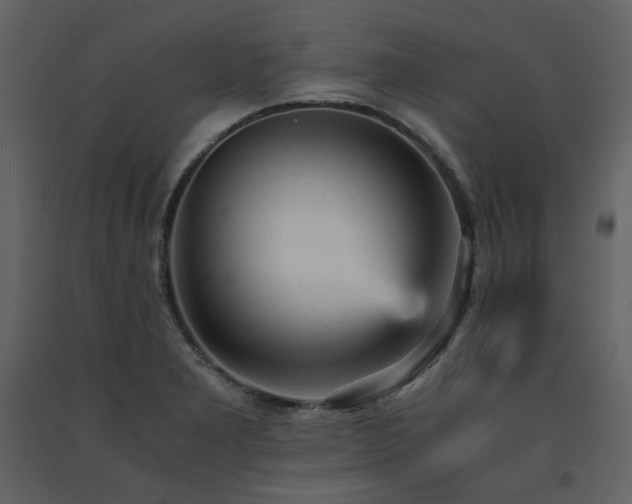 X0000091661277200708231257
