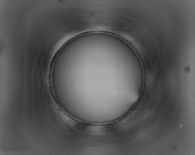 X0000091661278200708231257