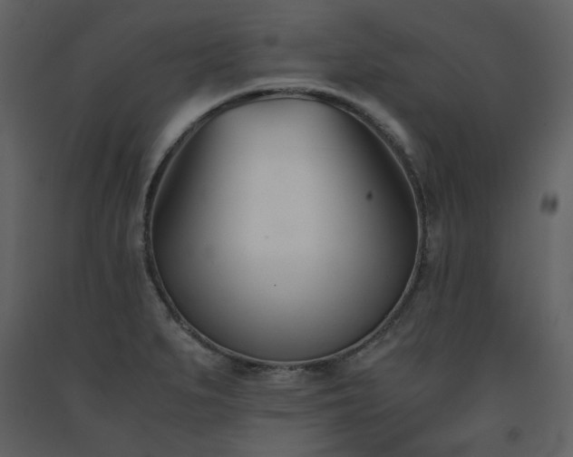X0000091661279200708231257