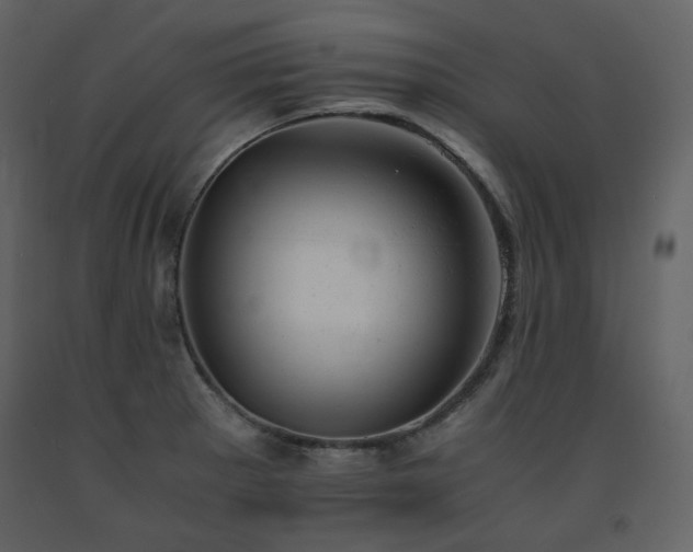X0000091661281200708231257