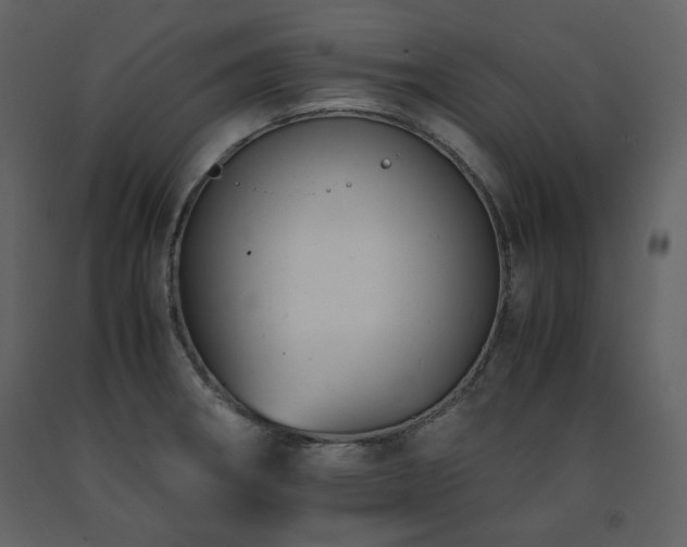 X0000091661282200708231257