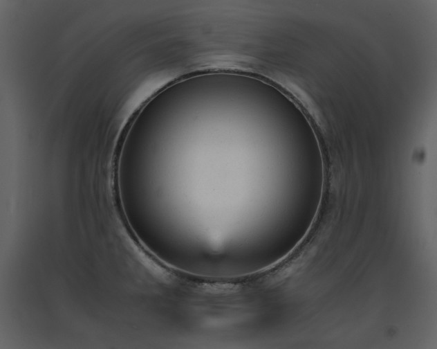 X0000091661285200708231257