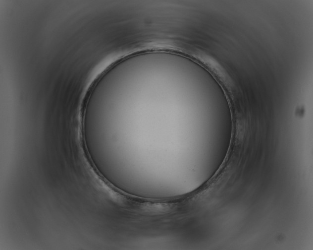 X0000091661286200708231257