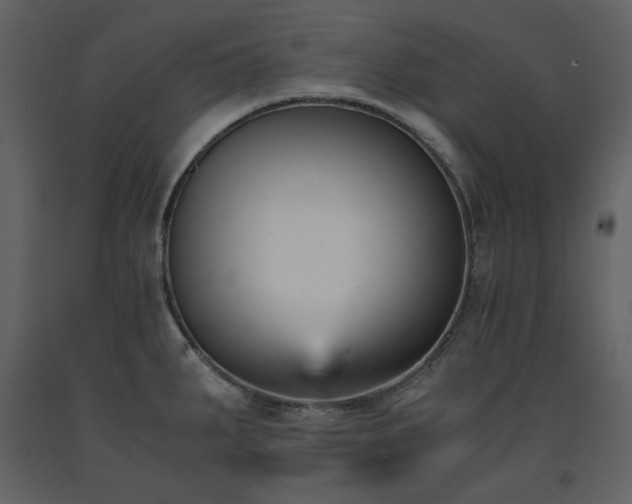 X0000091661287200708231257