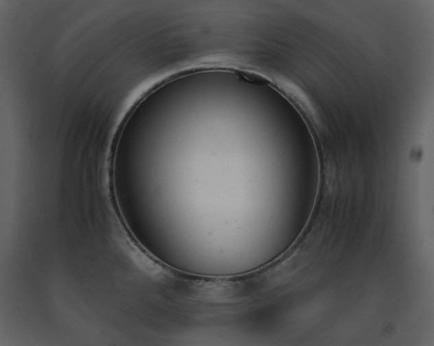 X0000091661288200708231257