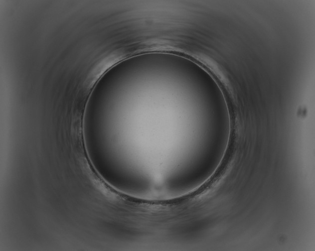 X0000091661289200708231257