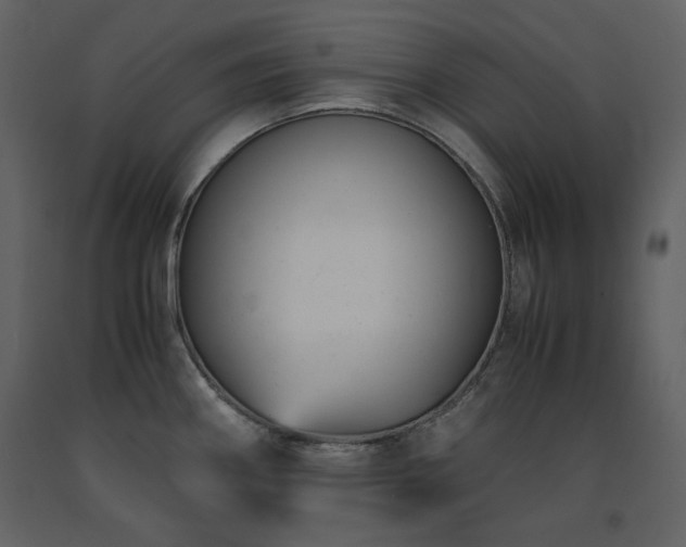 X0000091661290200708231257