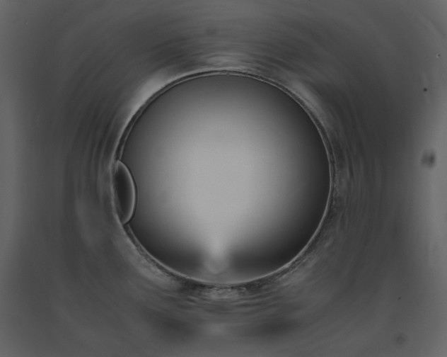 X0000091661291200708231257