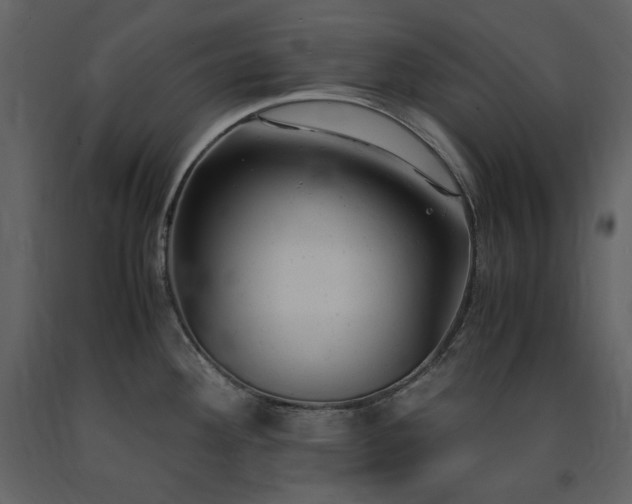 X0000091661292200708231257