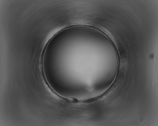 X0000091661293200708231256