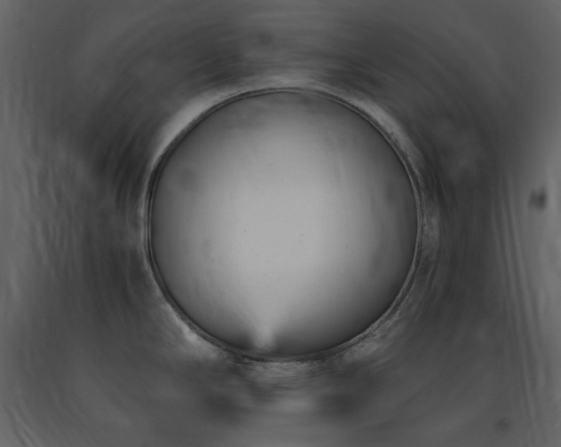 X0000091661294200708231256