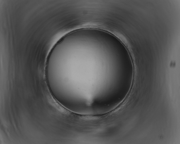X0000091661296200708231256