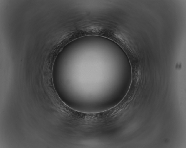 X0000091661297200708231256