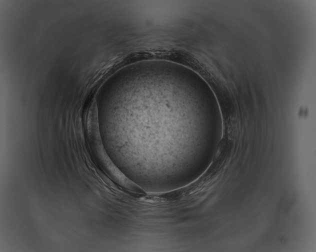 X0000091661298200708231256