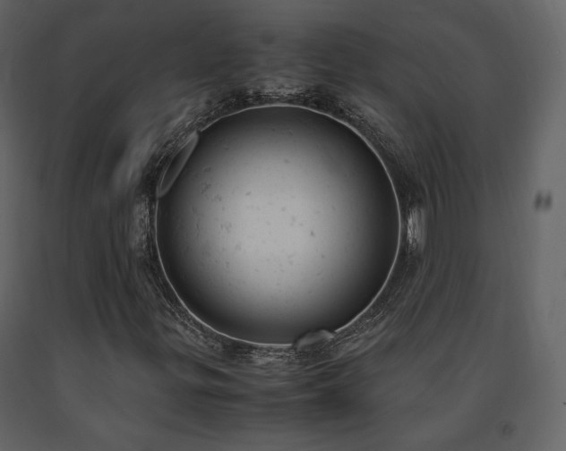 X0000091661299200708231256