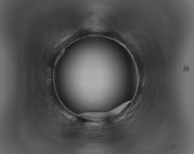 X0000091661301200708231256