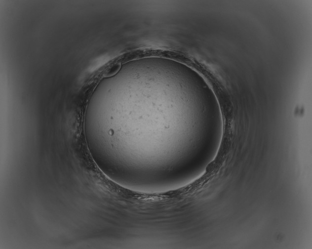 X0000091661303200708231256
